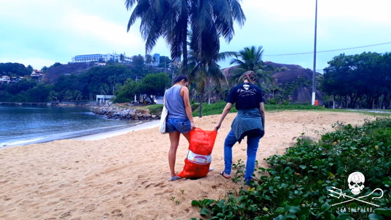 Voluntários destinaram seu tempo para a retirada de micro lixo na praia