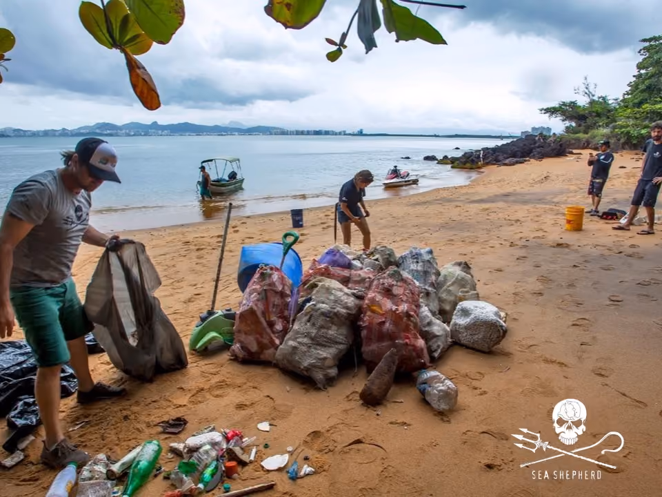 Na Praia da Vale, com apoio de embarcação, o grupo recolheu muitos quilos de detritos marinhos.