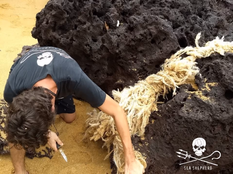 O trabalho minucioso de retirar os detritos dos ambientes marinhos requer esforço e determinação dos nossos voluntários. Na foto Rafael Poltronieri