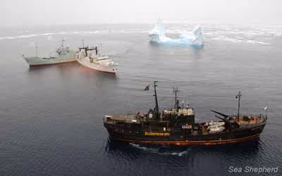 Farley Mowat e Robert Hunter