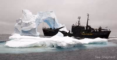 Antártica 2005-2006