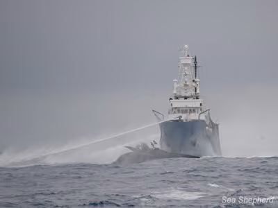 O Shonan Maru 2 deliberadamente abalroou o Ady Gil. Foto: Joanne McArthur / Sea Shepherd