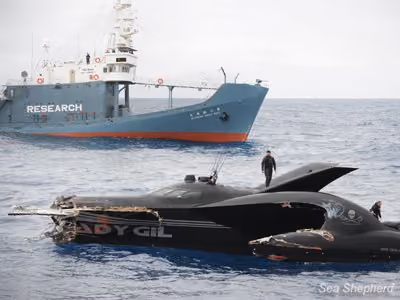 O dano ao Ady Gil foi grave o suficiente para que ele tivesse de ser abandonado. Foto: Joanne McArthur / Sea Shepherd