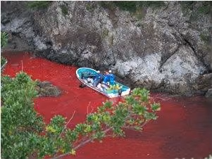 taiji1
