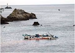 taiji10