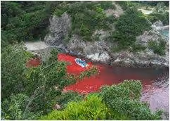 taiji11
