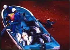 taiji12