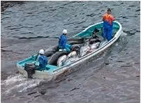 taiji13