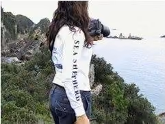 taiji2