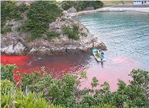 taiji6