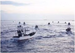taiji8