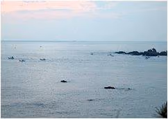 taiji9