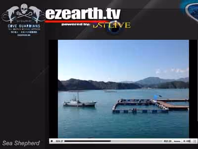 Livestream filmagem das canetas de cativeiro. Foto de arquivo