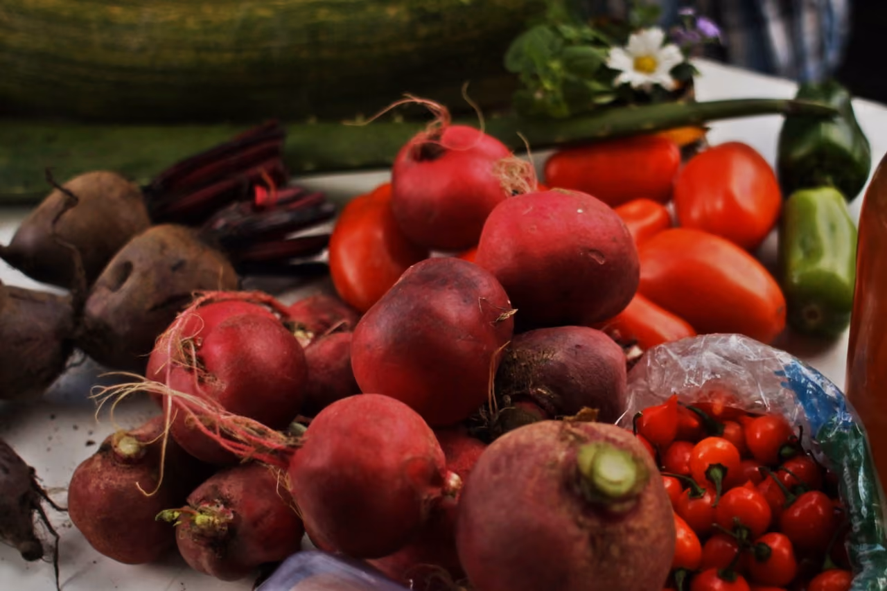 Créditos @SUSTENTA – Vegetais e Hortaliças Orgânicas