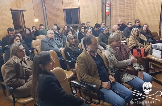 Foto5