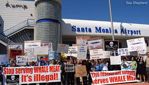 Protesto em frente ao The Hump. Foto: Greg Hager / Sea Shepherd