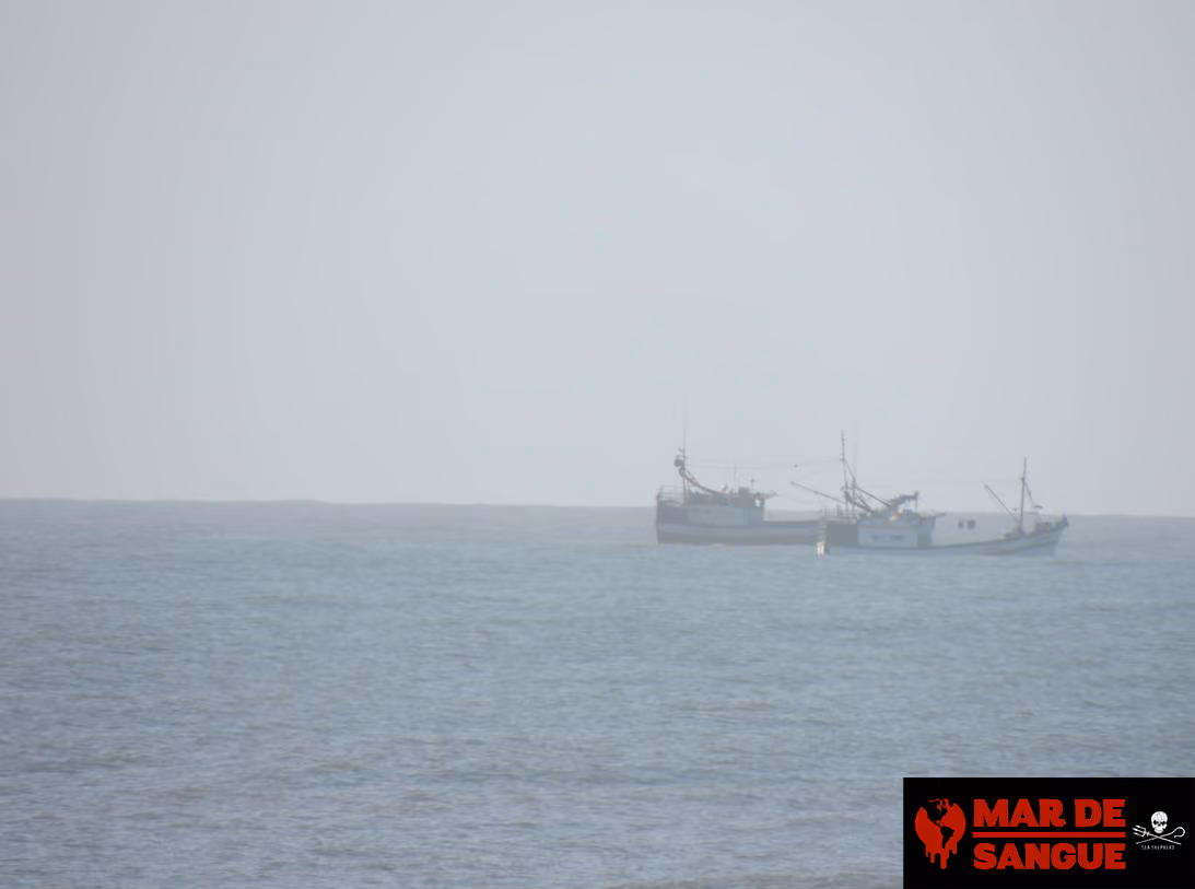 Embarcações finalizando manobra de aproximação. Foto: Wendell Estol