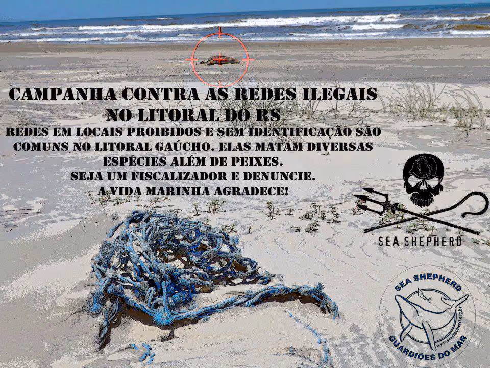 Imagem da Campanha contra as redes ilegais do Núcleo RS