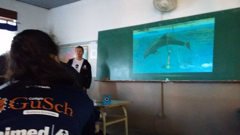 Slide onde mostra a crueldade com animais em Parques Marinhos. Foto: Francine Maciel.