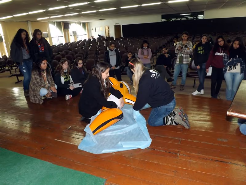 Simulação de salvamento de golfinho em sala de aula. Foto: Rodrigo Marques/ISSB