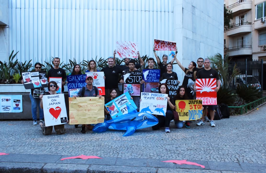 Participantes do JDD 2014. Foto: Ísis Barboza