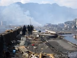 Devastação pelo tsunami em Otsuchi