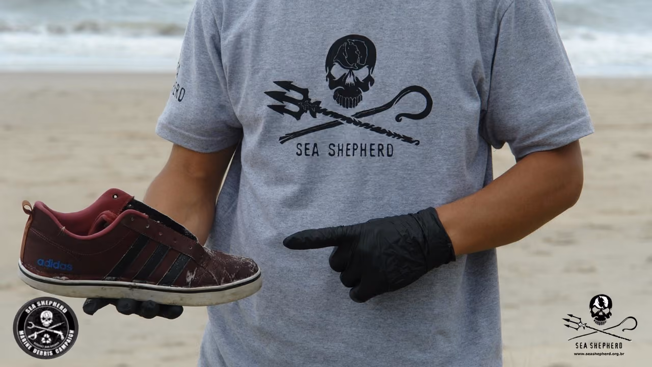 Diversos tipos de materiais são encontrados nas praias.