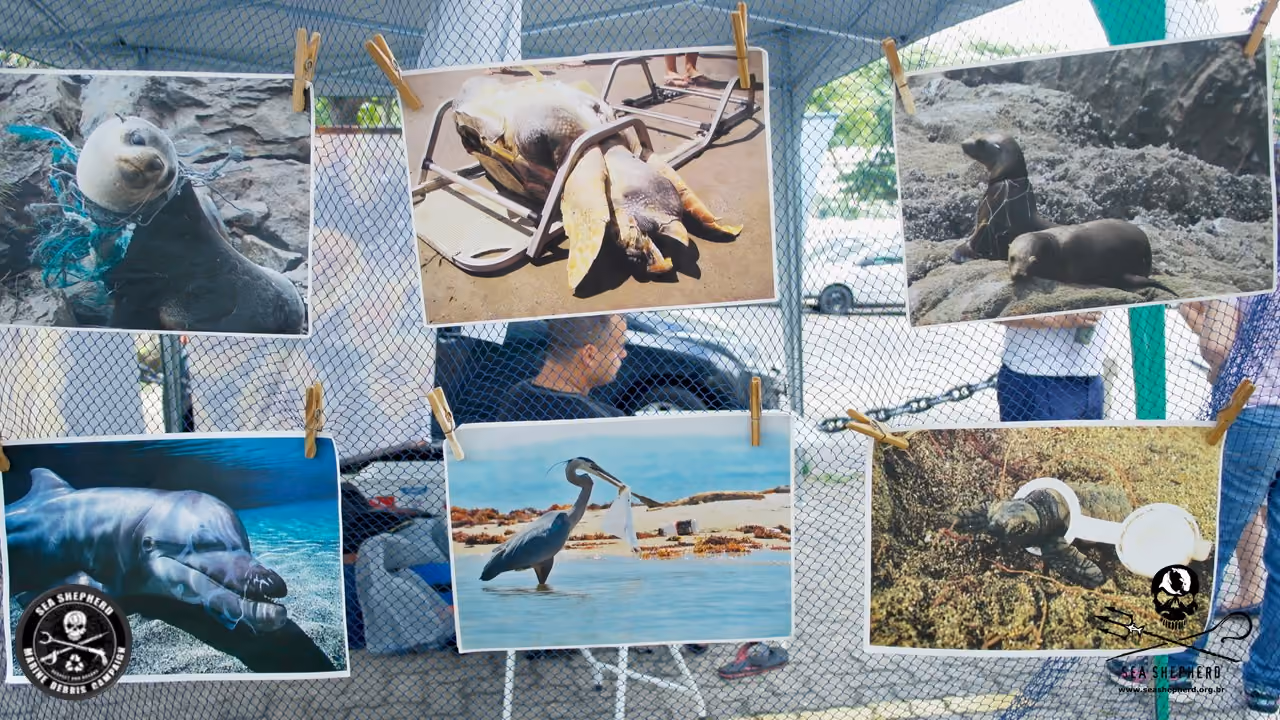 Exposição de fotos na Praia da VermelhaRJ