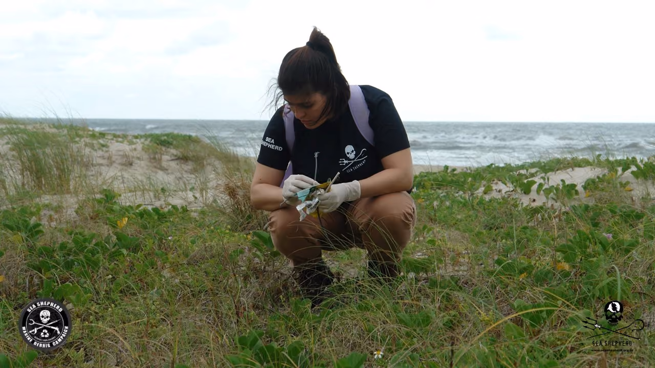 Muito lixo estava na areia, mas a maior parte estava nas áreas da vegetação de restinga.