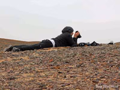 Rosie Kunneke, da equipe Força O.R.C.A. no trabalho de vigia. Foto: Sea Shepherd