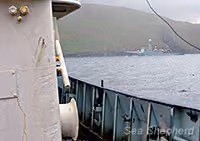 news_100818_1_5_Death_in_the_Ferocious_Isles_Sea_Shepherd_under_Escort_001_3128