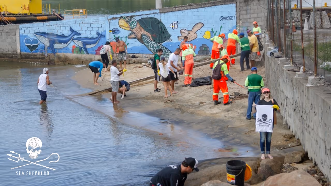 A participação de Ongs e da Prefeitura de Vitória uniram-se para a ação de limpeza.