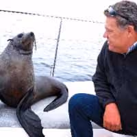 Oswald Theart finge amar uma foca (foto de arquivo)