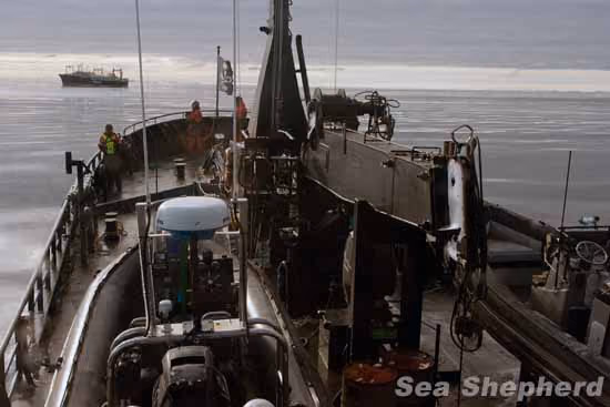 SSS Bob Barker encontra o Nisshin Maru no Mackenzie Bay. Foto: Glenn Lockitch