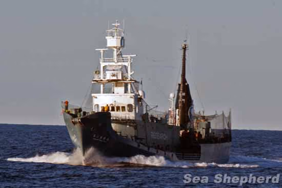 Bob Barker encontra o Yushin Maru 2. Foto: Glenn Lockitch