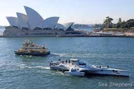 O Brigitte Bardot passa em frente à Sydney Opera House. Foto: Glenn Lockitch
