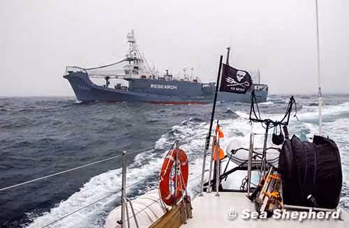 O Yushin Maru 3, visto do SSS Brigitte Bardot. Foto: Agar Simon