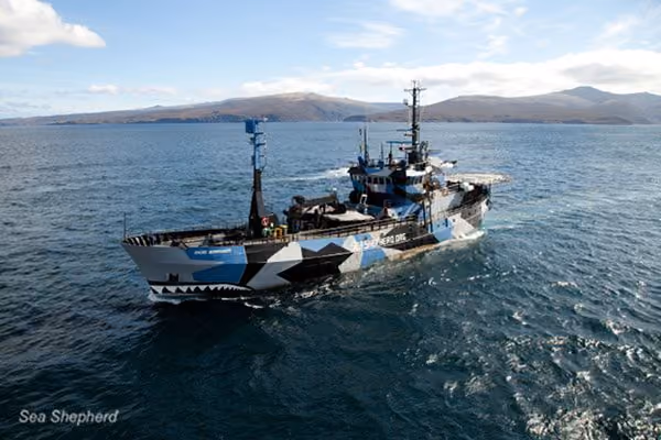 SSS Bob Barker em Auckland. Foto: Eliza Muirhead