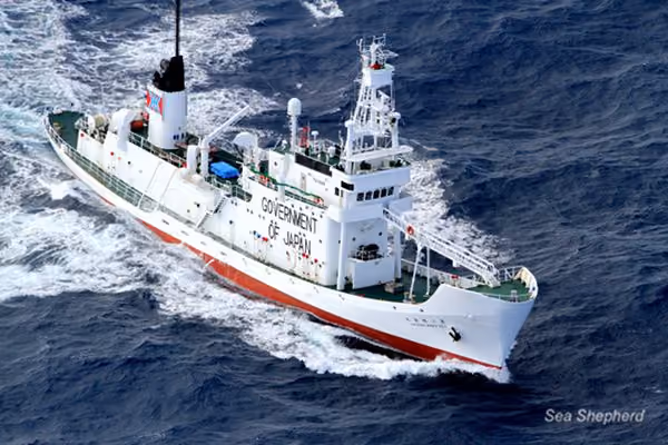 (Foto de arquivo) Shonan Maru 2, 04 de janeiro de 2012. Foto: Guillaume Collet