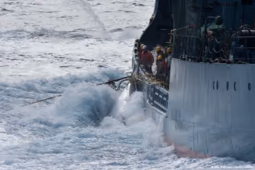 Minke whale iillegally slaughtered by Japanese whalers in Australian Antarctic waters off Mackenzie Bay.© Sea Shepherd/ Glenn Lockitch 2013