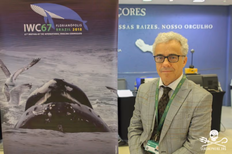 FLORIANÓPOLIS, SC, 13.09.2018 – IWC-SC – embaixador da Representação Permanente do Brasil junto a Organismos Internacionais (Rebraslon) em Londres, Hermano Telles Ribeiro e comissario do brasil na cib 67ª reunião anual de Membros da IWC (International Whaling Commission) em Florianópolis nesta Quinta-feira 13. . (Foto: Naian Meneghetti/Brazil Photo Press/Folhapress)