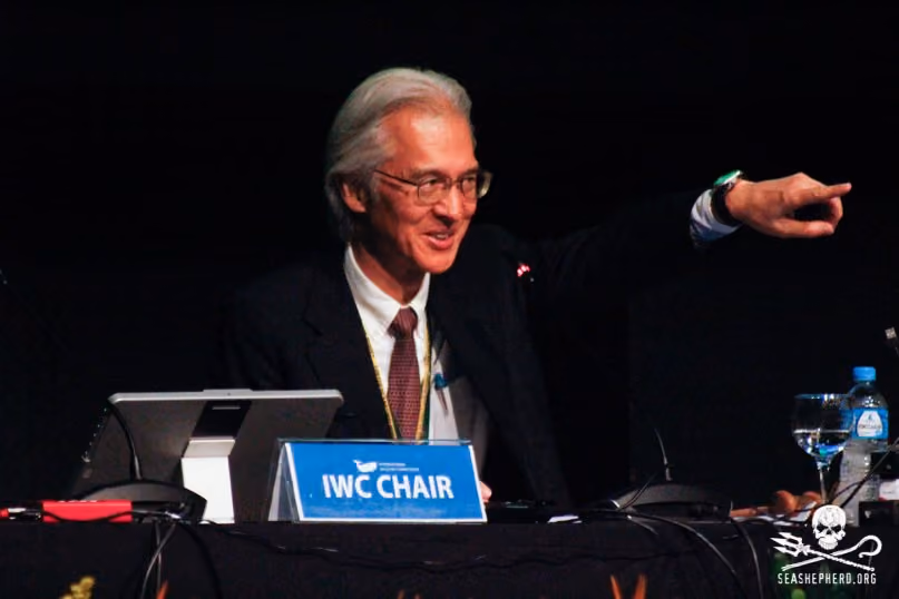 FLORIANOPOLIS, SC, 10.09.2018 – EVENTO – joji morishita fala na 67ª reunião anual de Membros da IWC (International Whaling Commission) em florianopolis brasil na tarde desta segunda-feira 10. (Foto: Naian Meneghetti/Brazil Photo Press/Folhapress)