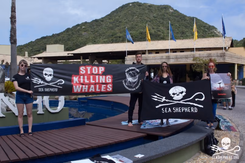 FLORIANÓPOLIS, SC, 10.09.2018 - IWC-SC - protesto durante de ongs ambientais 67ª reunião anual de Membros da IWC (International Whaling Commission) em Florianópolis nesta segunda-feira 10. (Foto: Naian Meneghetti/Brazil Photo Press/Folhapress)