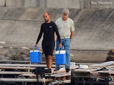Comprador e treinador local nos cercados de golfinhos cativos. Foto: Sea Shepherd