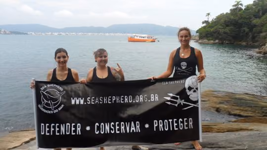 Foto: Núcleo Regional SC