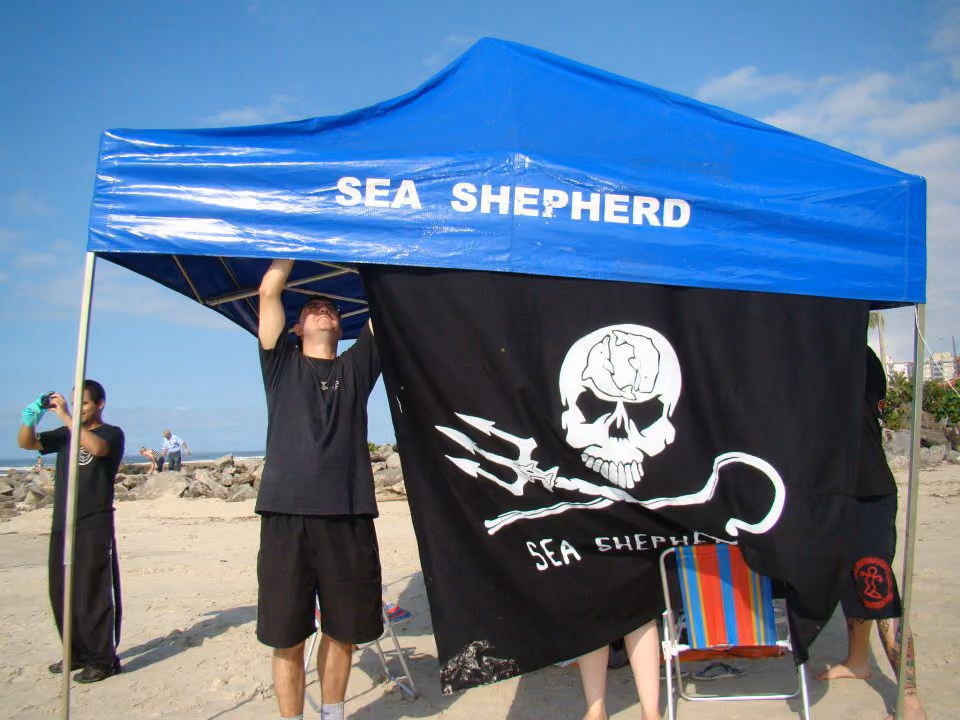Montagem da Tenda que seria nossa base na praia. Recebemos vários moradores de Mongaguá que vieram em busca de informações.