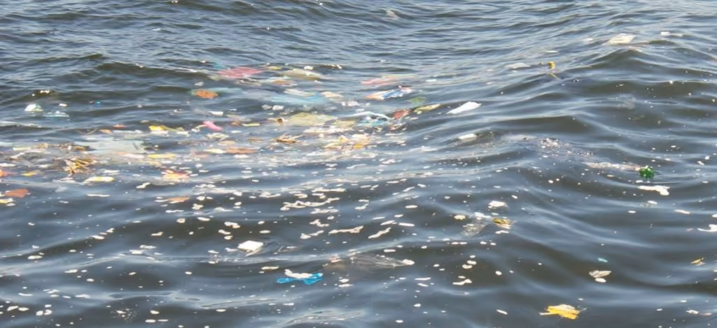 Resíduos sólidos descartados irregularmente poluem a Baía de Guanabara e impactam o meio ambiente e a vida marinha. Crédito: Ed Bastos