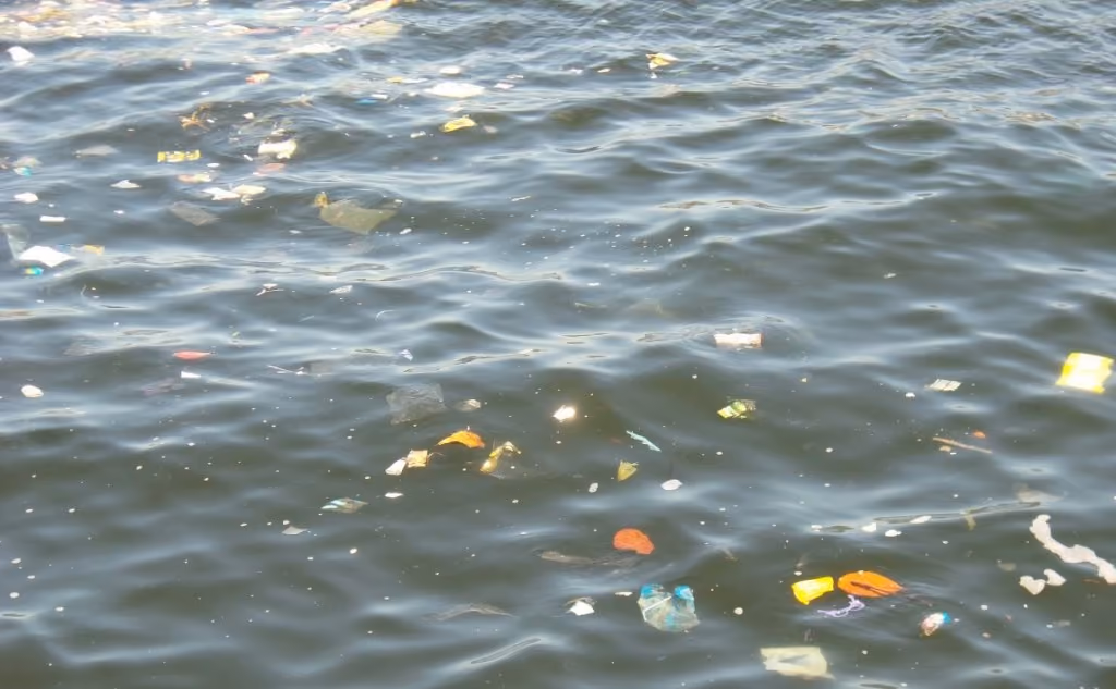 Resíduos sólidos descartados irregularmente poluem a Baía de Guanabara e impactam o meio ambiente e a vida marinha. Crédito: Ed Bastos