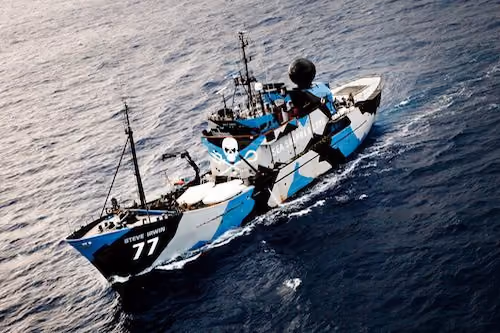 Steve Irwin. Foto: Sea Shepherd