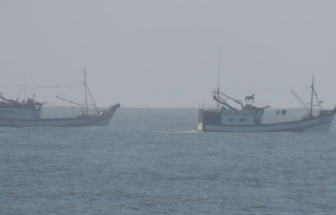 Exemplo de pesca predatória (pesca de arrasto fora dos limites estabelecidos por lei). Foto: Wendell Estol.